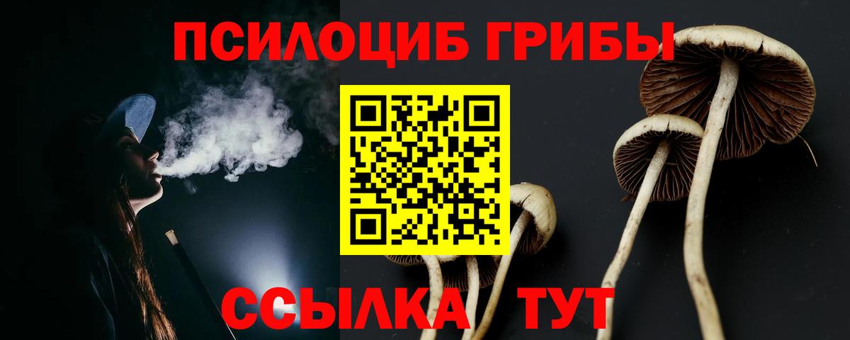 Псилоцибиновые грибы Cubensis  Псилоцибиновые грибы MAGIC MUSHROOMS  Донецк  Вход с VPN 